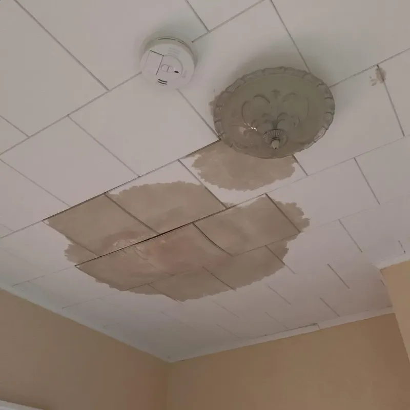 Ceiling Water Damage Repair in Woonsocket, SD