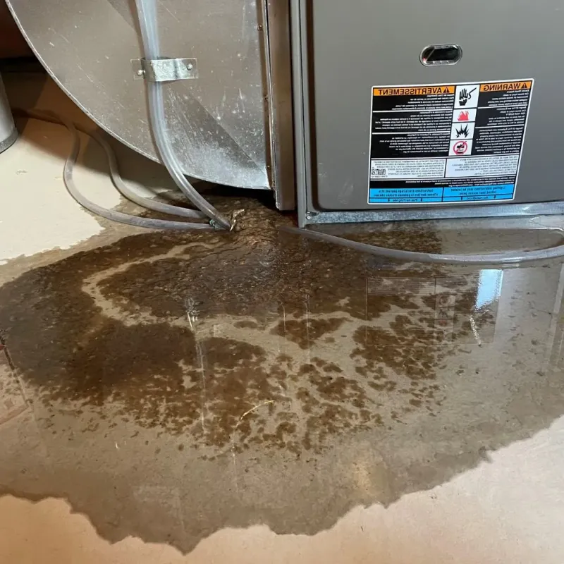Pipe Burst and Leak Restoration in Woonsocket, SD